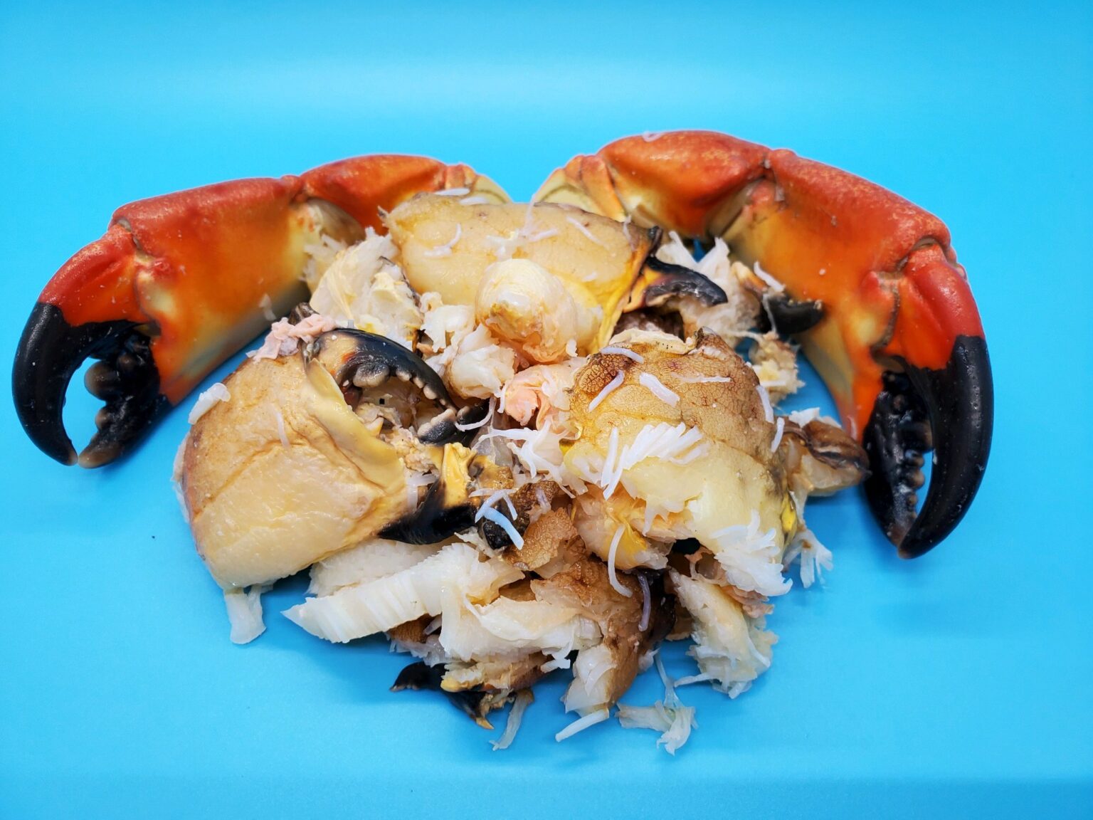 Stone Crab Meat (8oz containers) Keys Fisheries
